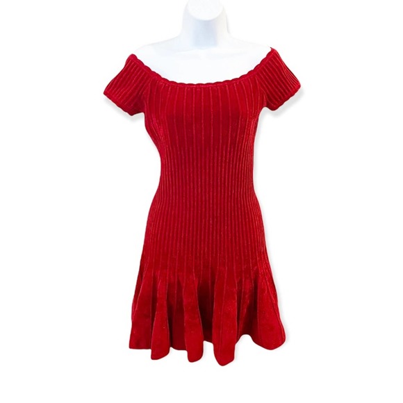 Torn by Ronny Kobo Dresses & Skirts - Ronny Kobo Karin Chenille Raised Fit and Flare Short Row Dress Red Size Small